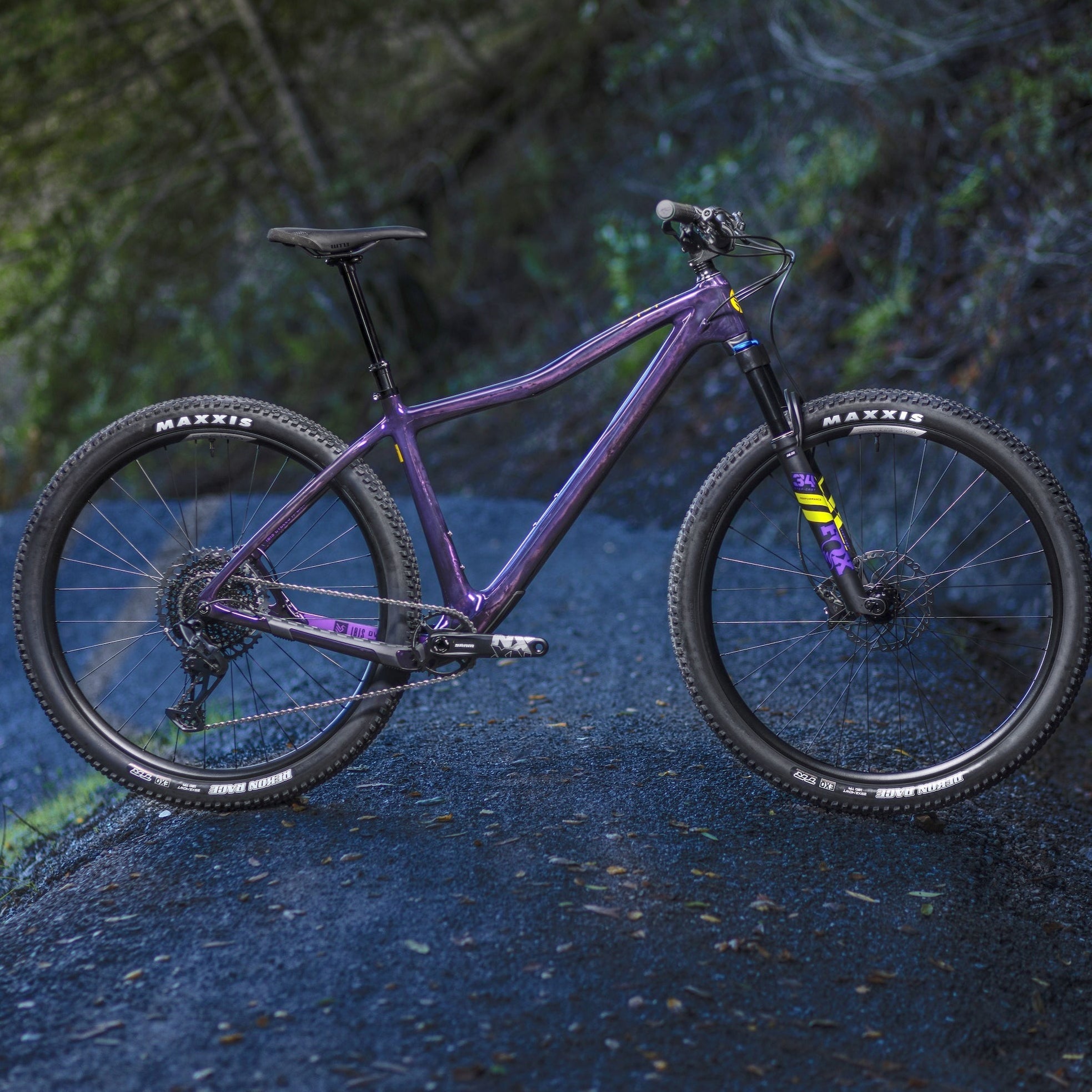 Bicycle Dv9 Hardtail Evo Cycles Ibis DV9 Silver Lining - Main Image