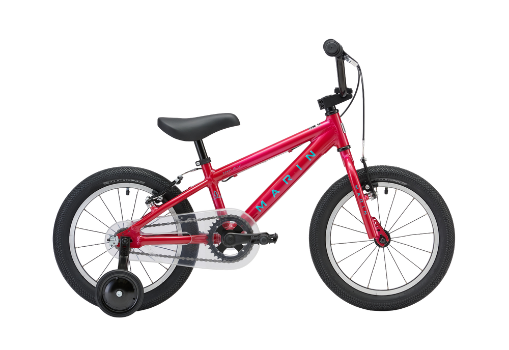 Marin Donky Jr 16