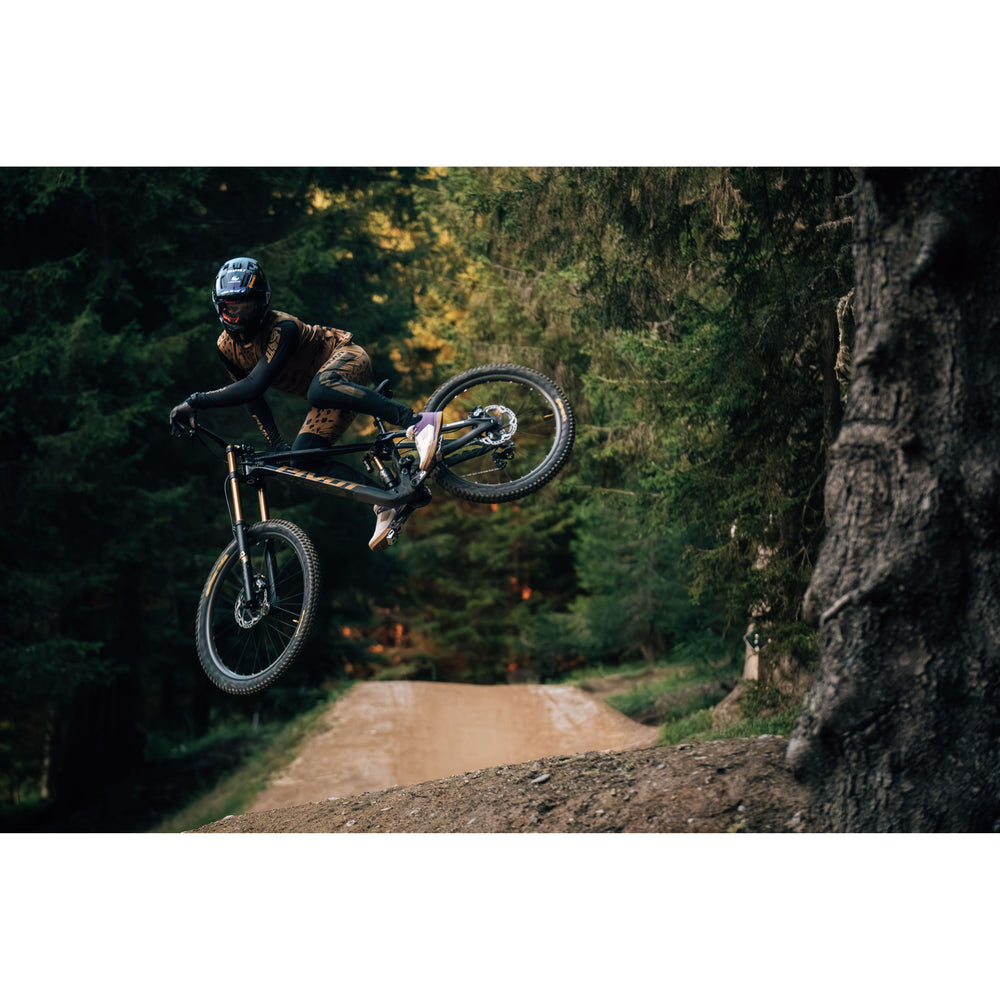 Pivot Black Gold - Canada