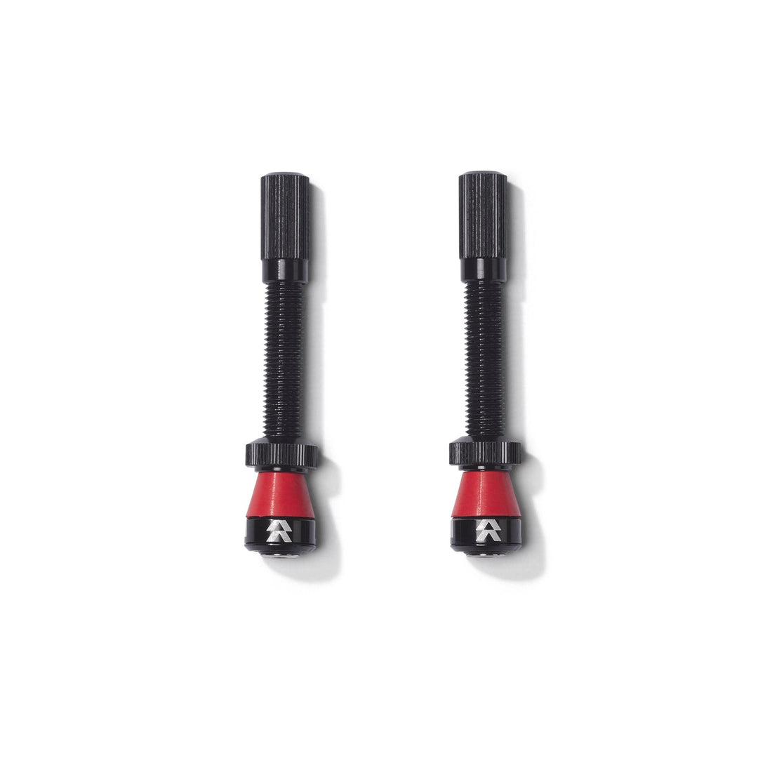 Two Reserve Wheels Tubeless Valves - Canada