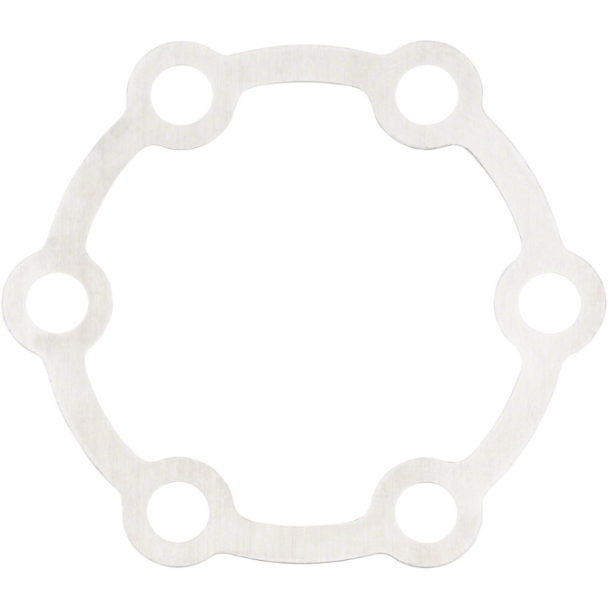 SRAM, .2mm Rotor Shims