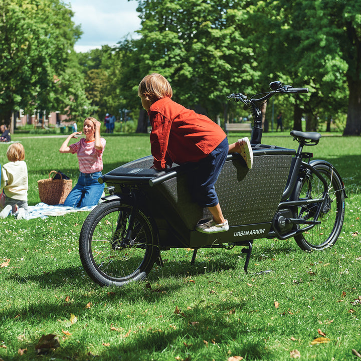 Urban Arrow Family Cargo eBike
