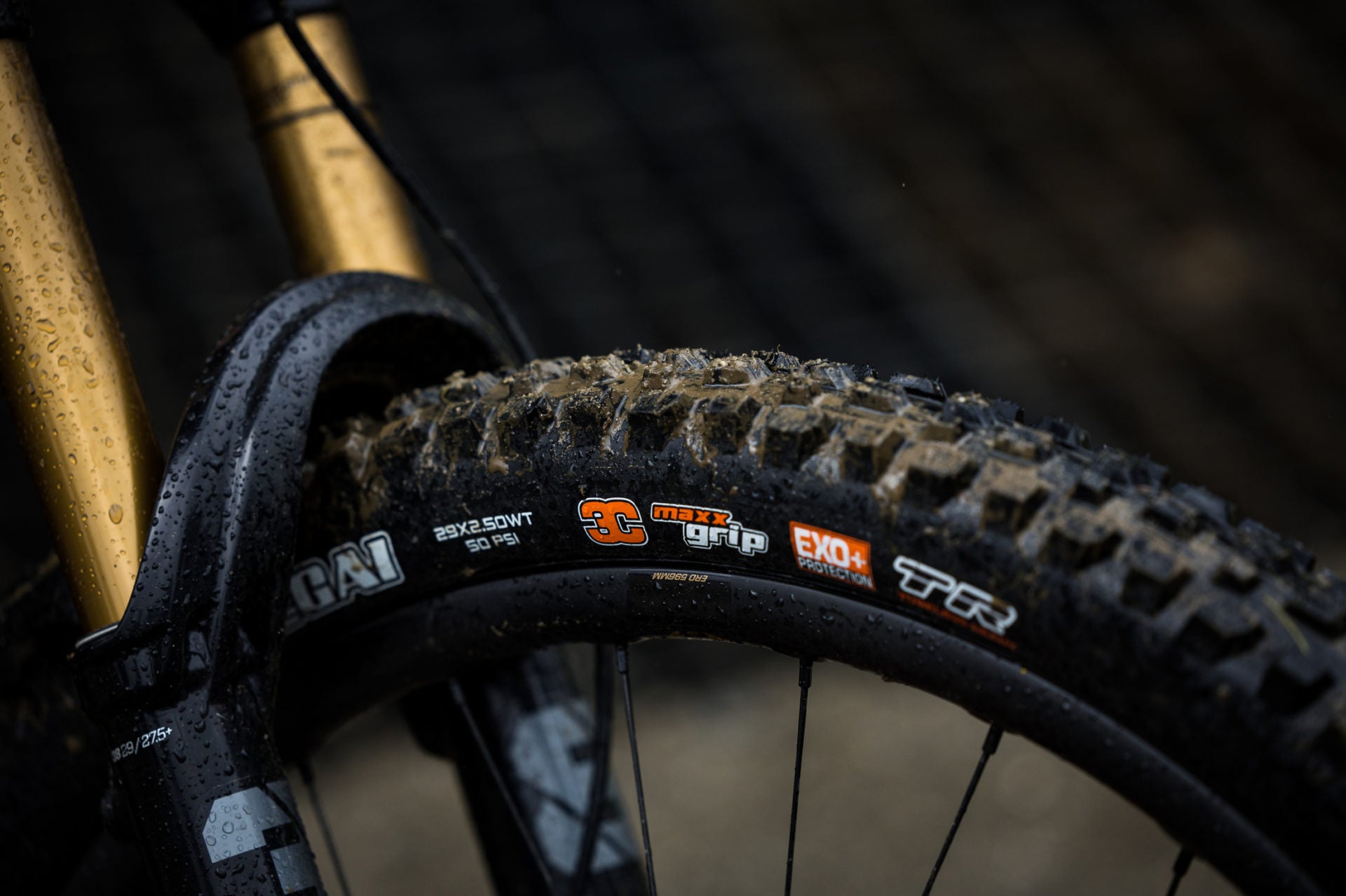 Maxxis Tire Sale