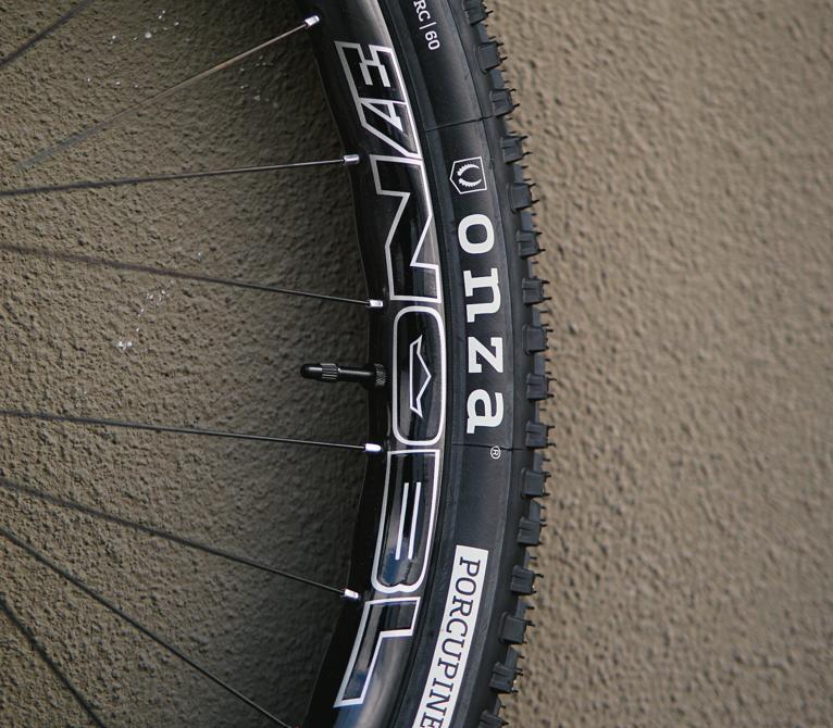 Bike Tires at Smith Creek Cycle