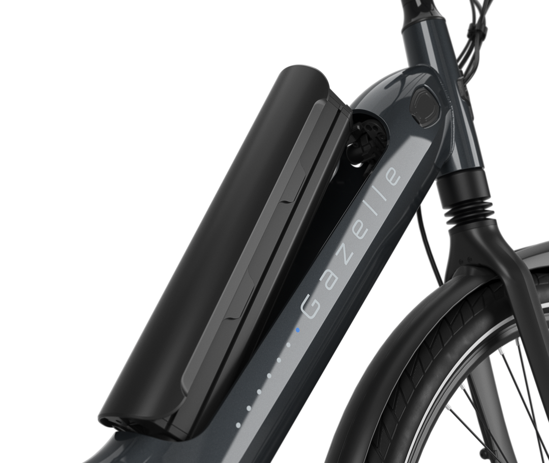 Gazelle Arroyo C5 Elite