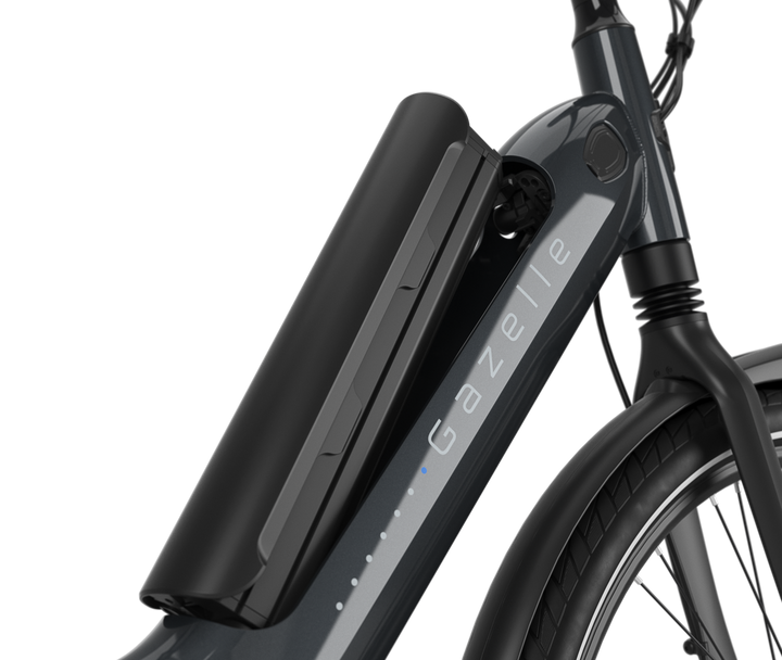 Gazelle Arroyo C5 Elite