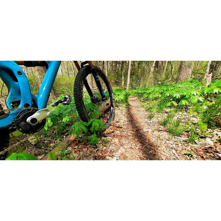 IGNITE Catalyst crankset 165mm- Raw with purple