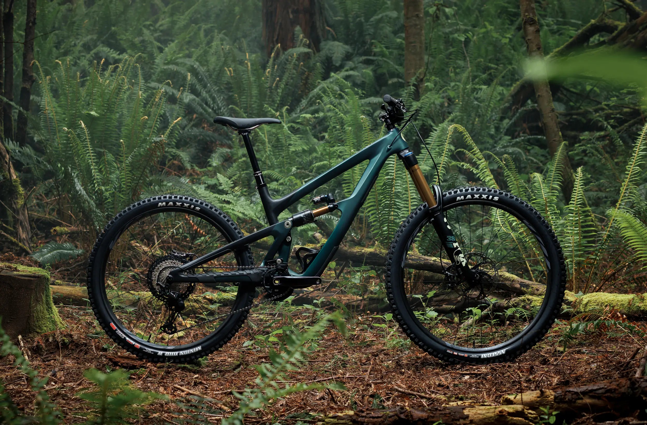 Westbank cyclery discount