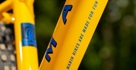 Marin San Quentin Jr