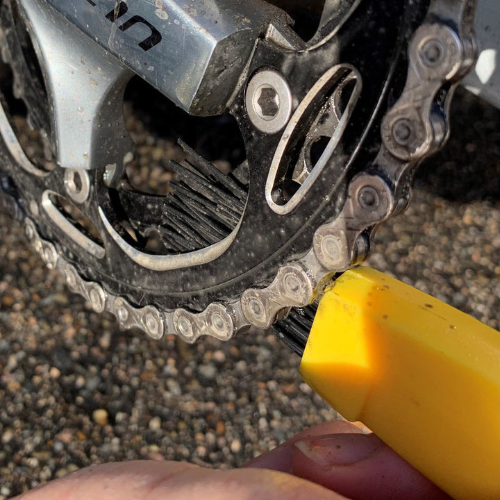 Pedro's Pro Brush Kit Chainring brush