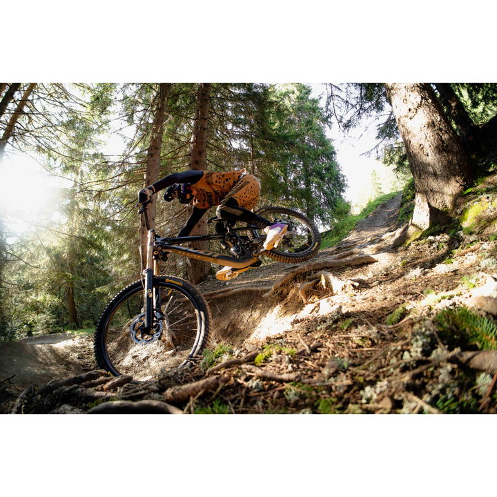 Pivot Ride GX Black Gold - Canada