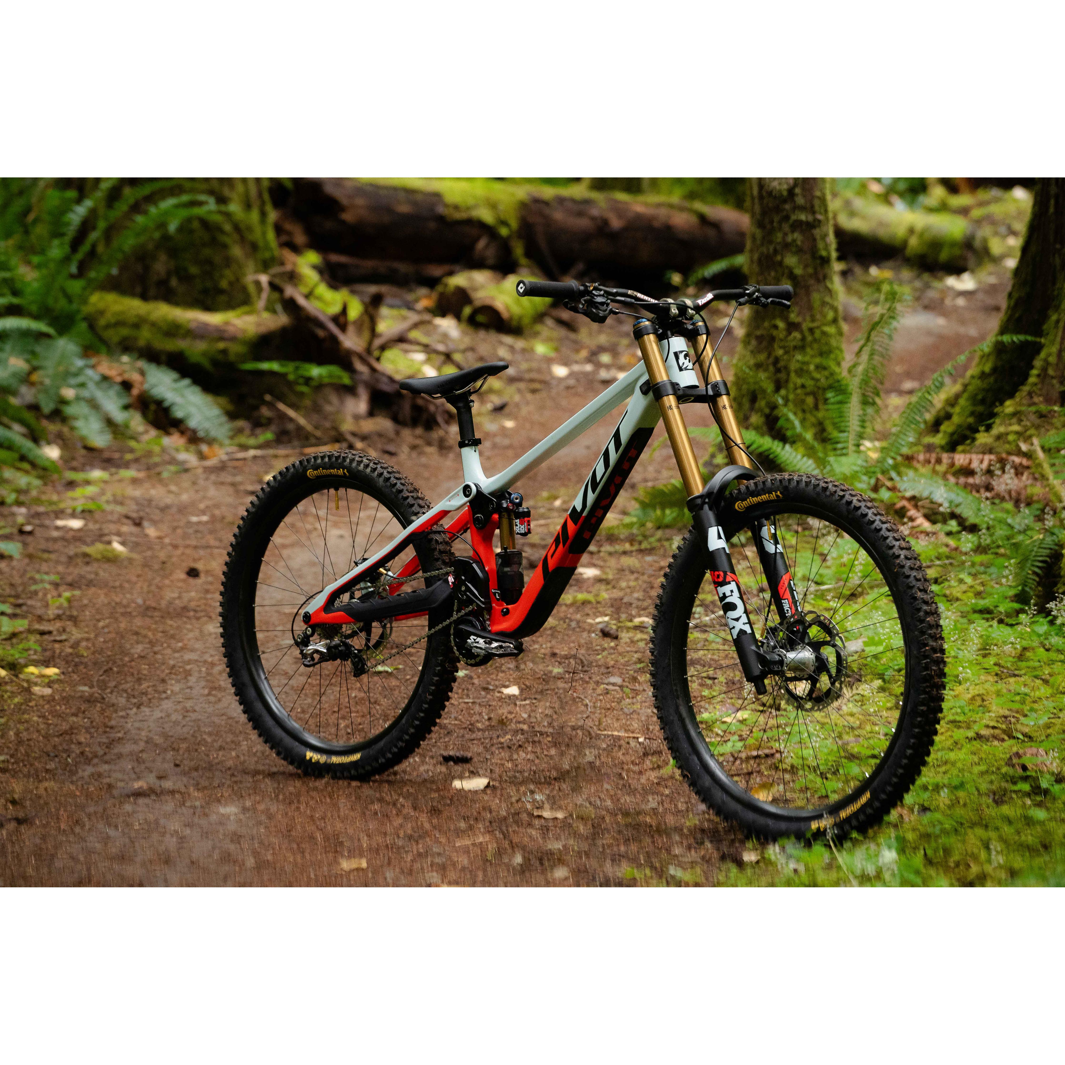 Banshee ダウンヒルバイク Deadpool Banshee 443cc 7mil Assassins setup fully road lega