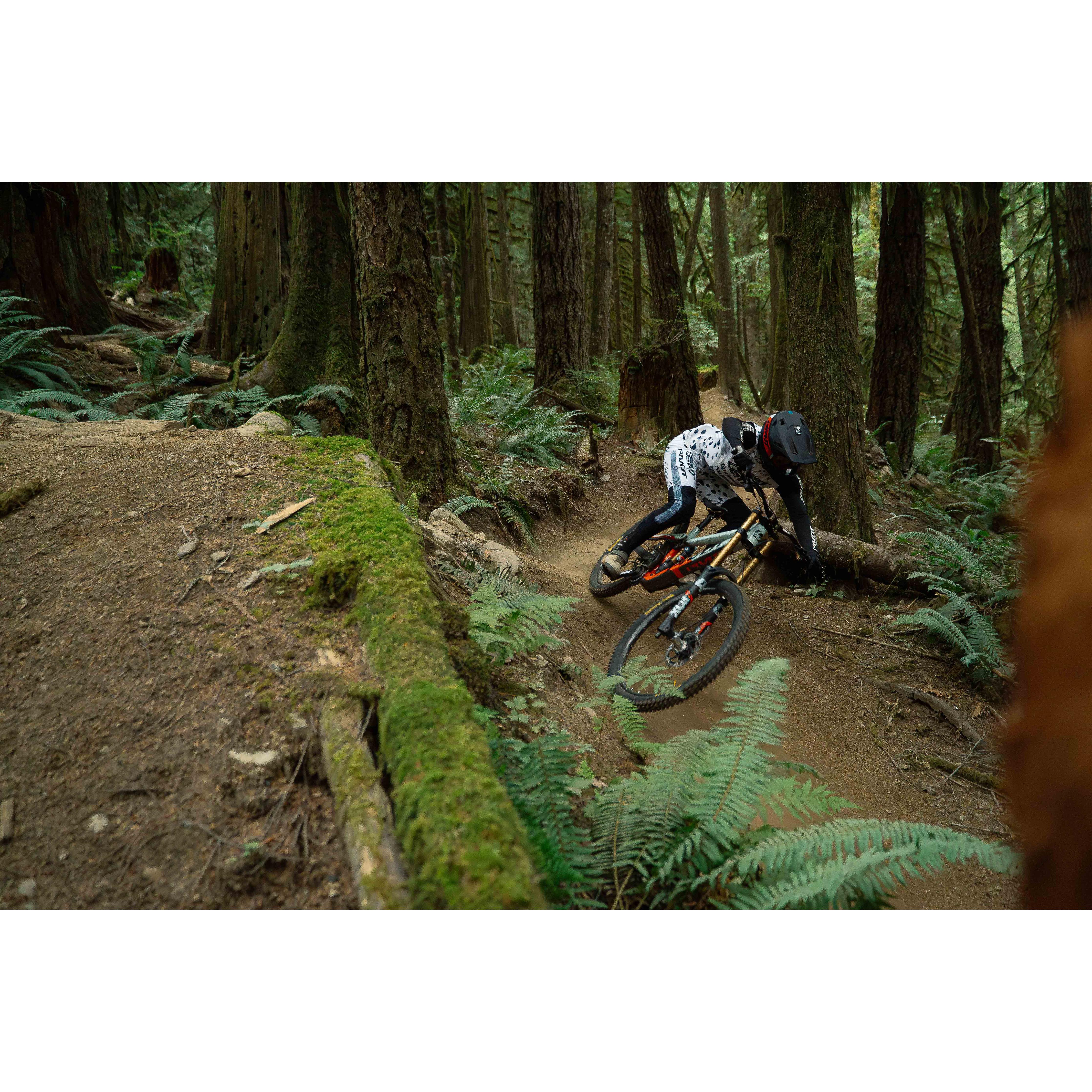 Pivot Phoenix Pro Saint - Smith Creek Cycle | Canada