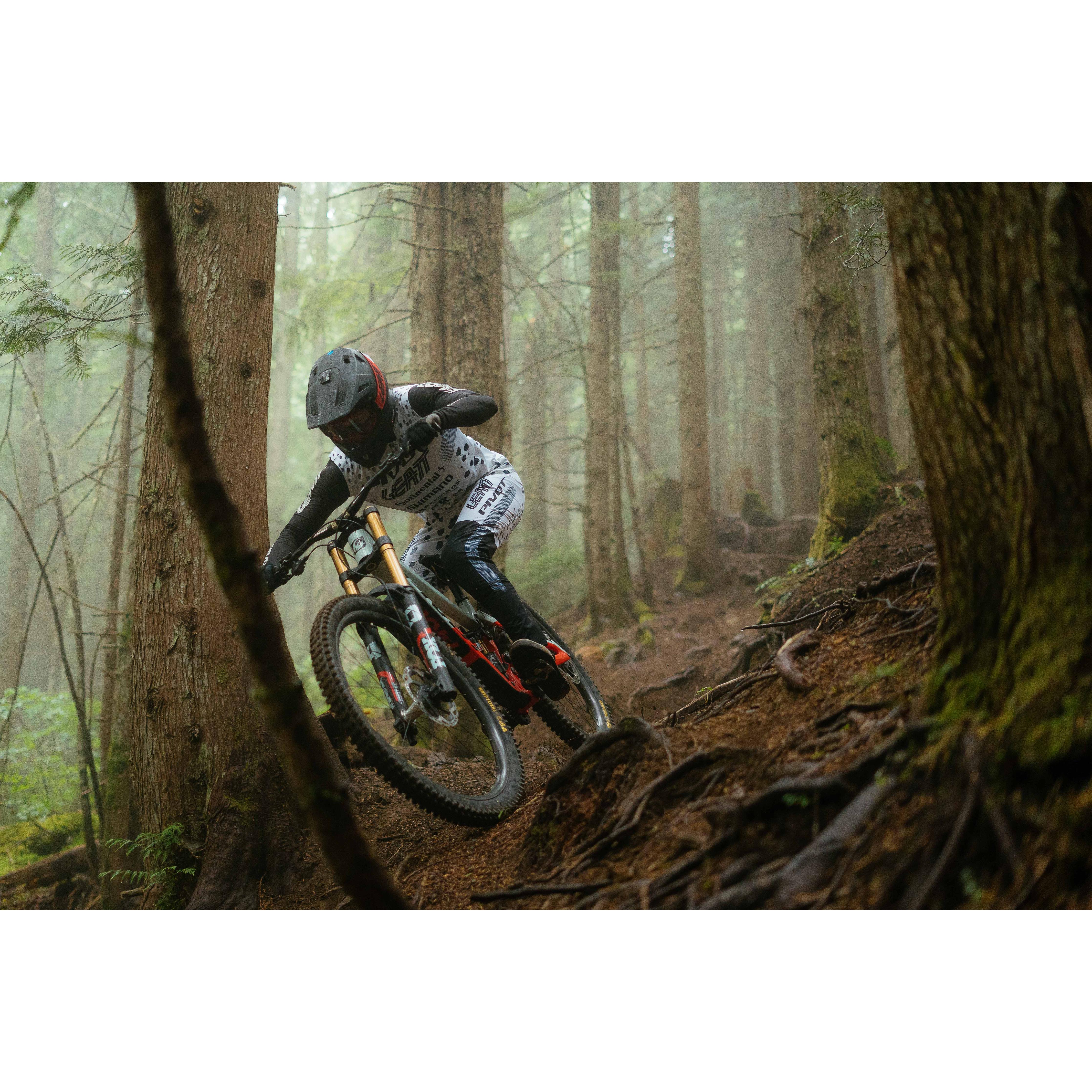 Pivot Phoenix Ride GX - Smith Creek Cycle | Canada