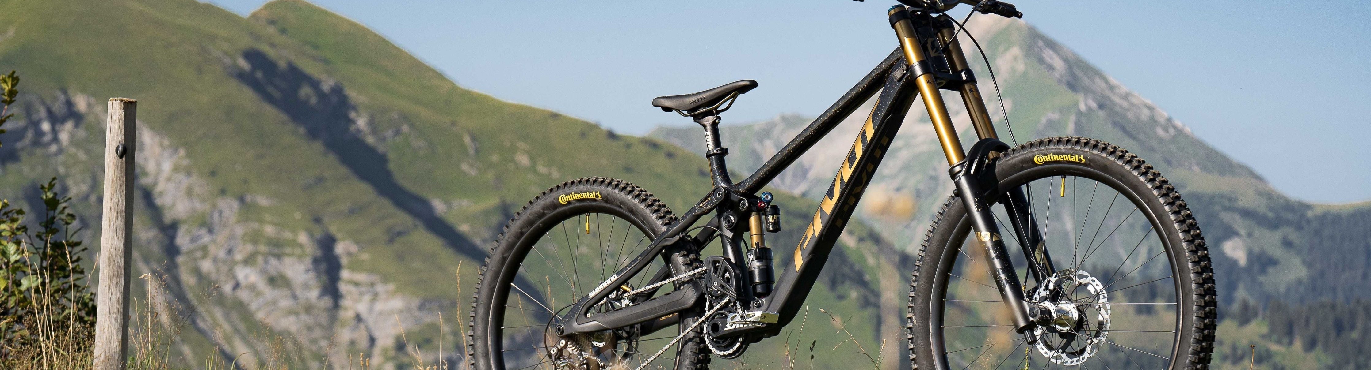 Pivot Ride GX Black Gold - Canada