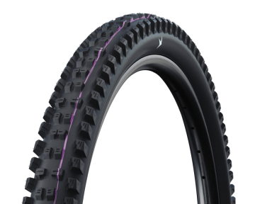 Schwalbe Tacky Chan Radial Trail Pro