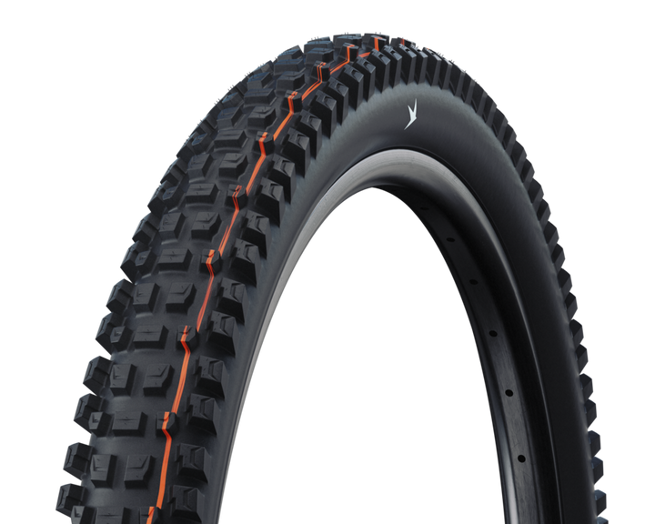 Schwalbe Albert Radial