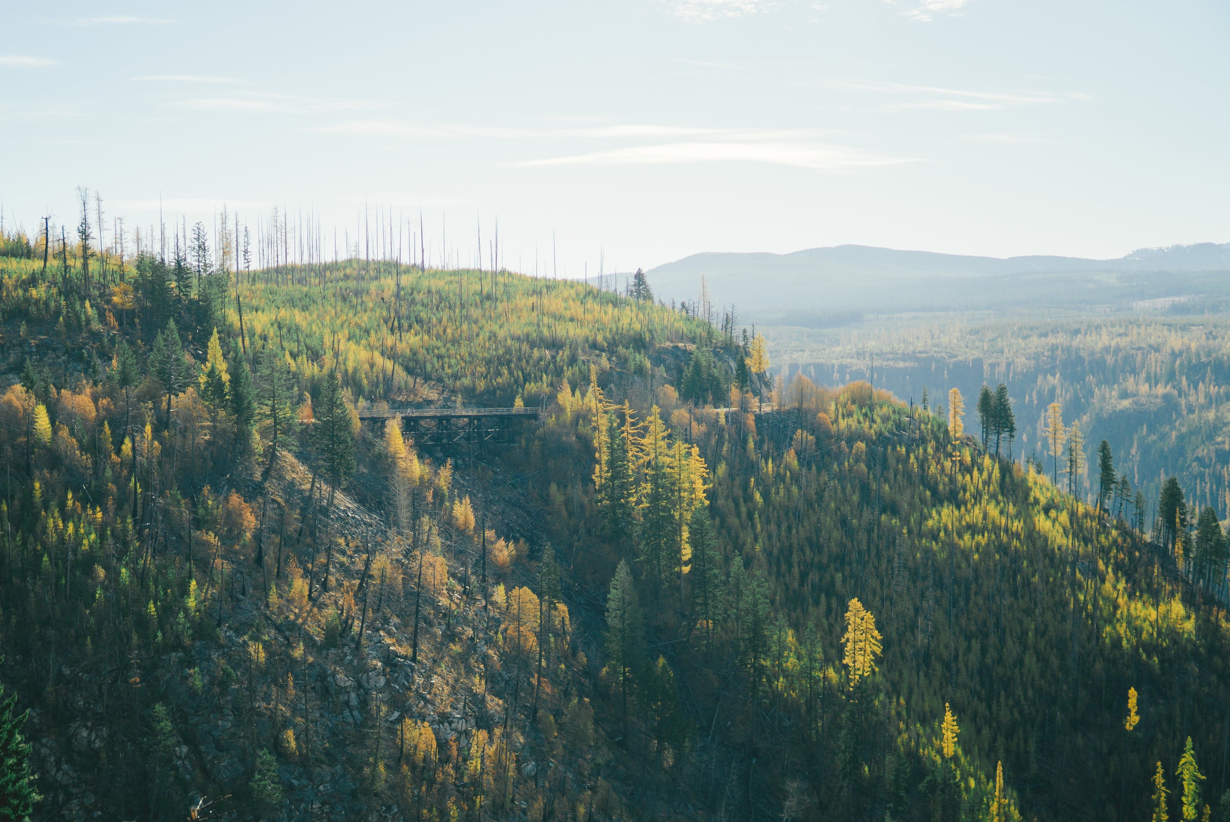 Myra Canyon Trestles Rail Trail Kelowna Bike Rentals