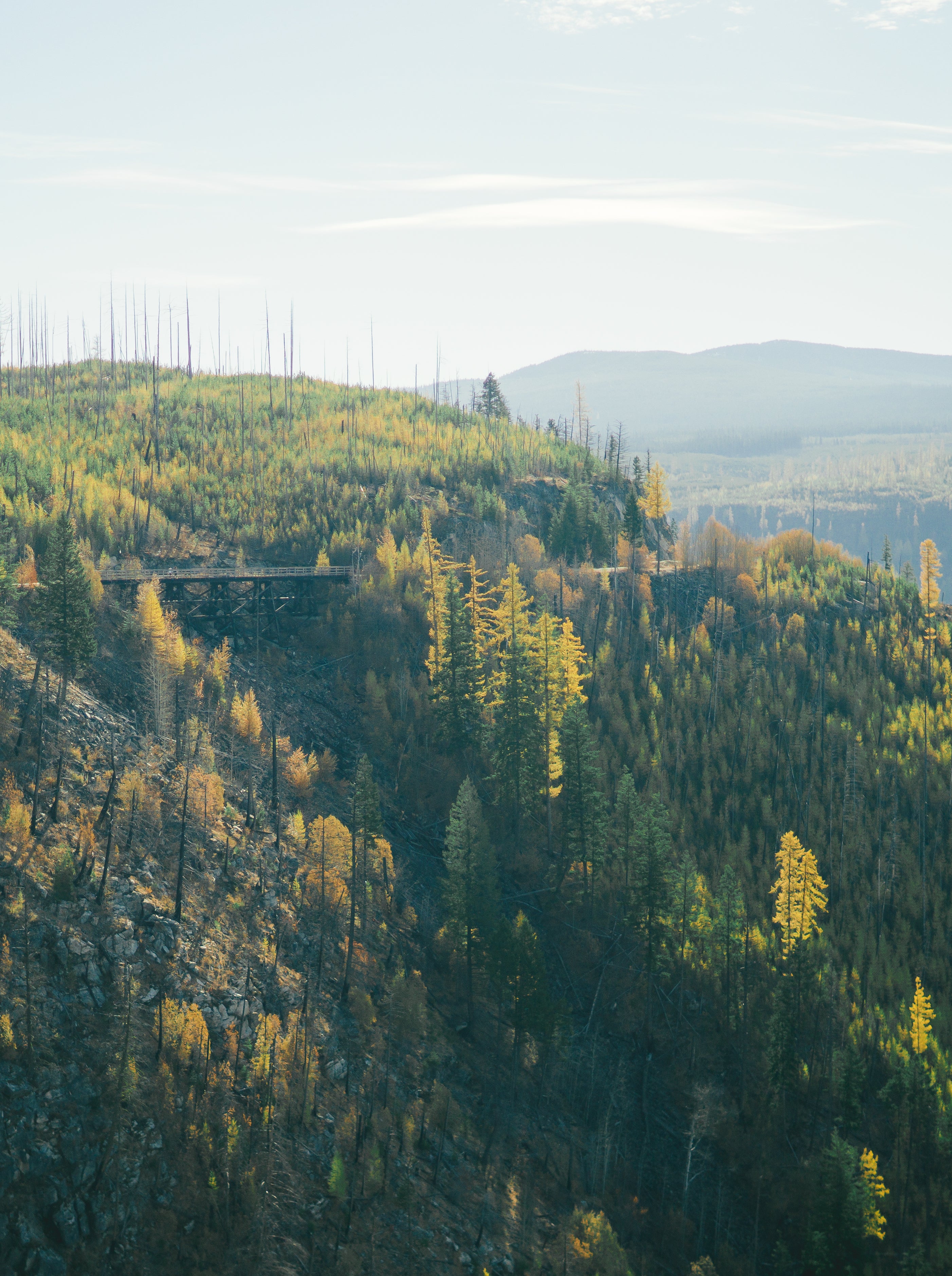 Myra Bellevue Trestles Bike Shop Rentals Kelowna