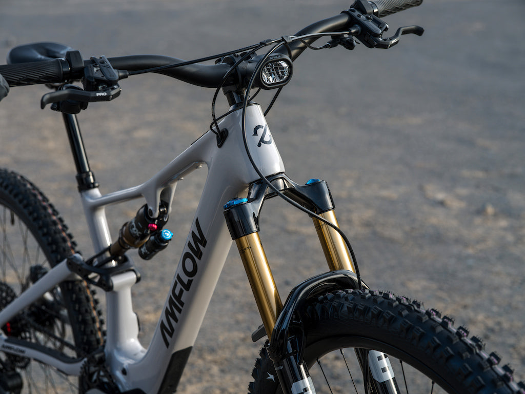 Amflow Carbon PX - Avinox M2S Motor - Canada