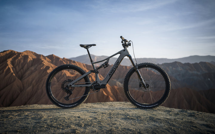 Amflow PR Carbon - Avinox M2S - Canada