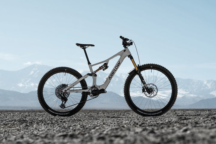 Amflow Carbon PX - Avinox M2S Motor - Canada
